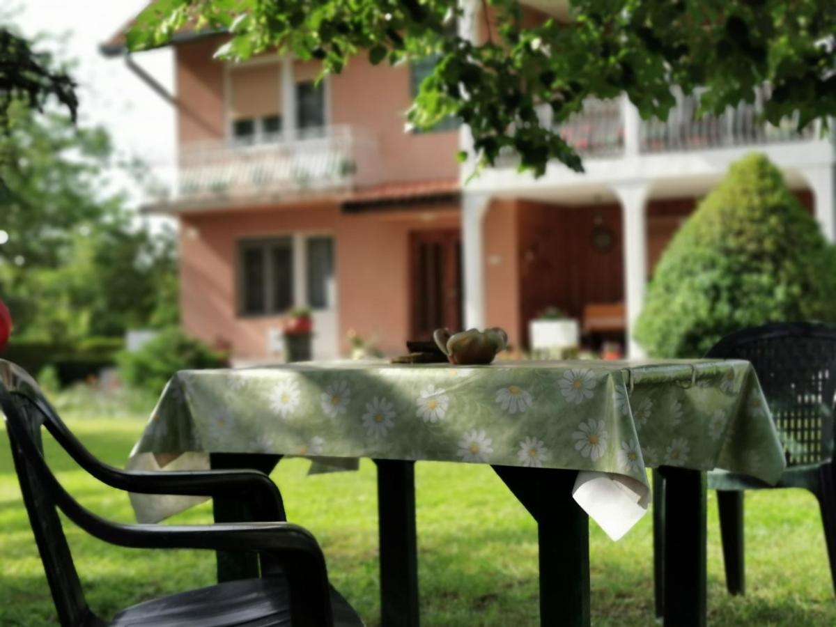 Apartments Domacinstvo Nikolic Valjevo Zewnętrze zdjęcie