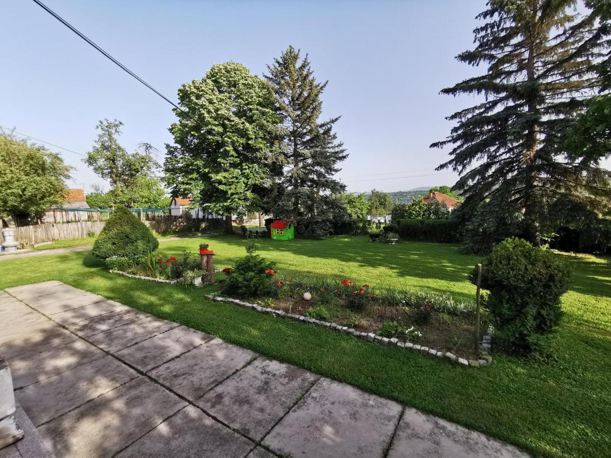 Apartments Domacinstvo Nikolic Valjevo Zewnętrze zdjęcie