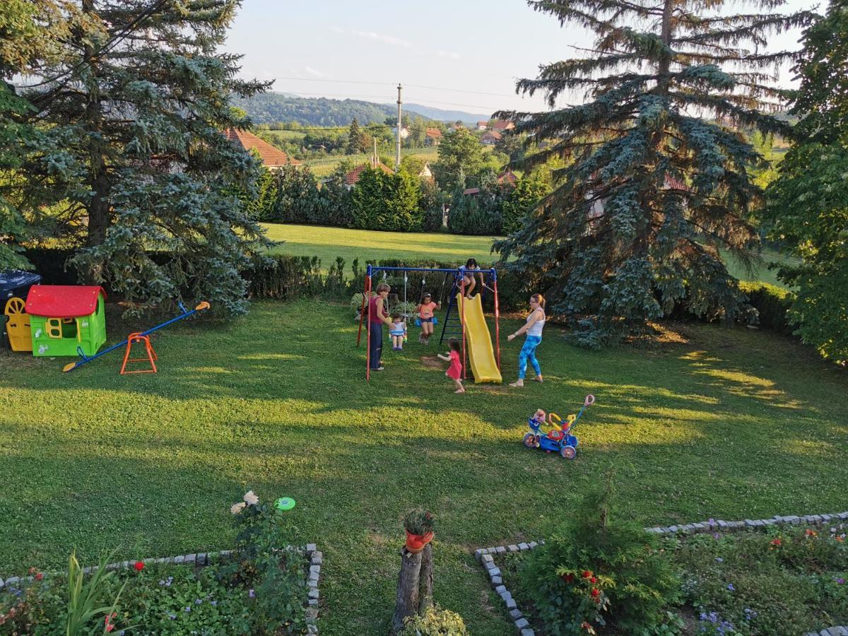 Apartments Domacinstvo Nikolic Valjevo Zewnętrze zdjęcie