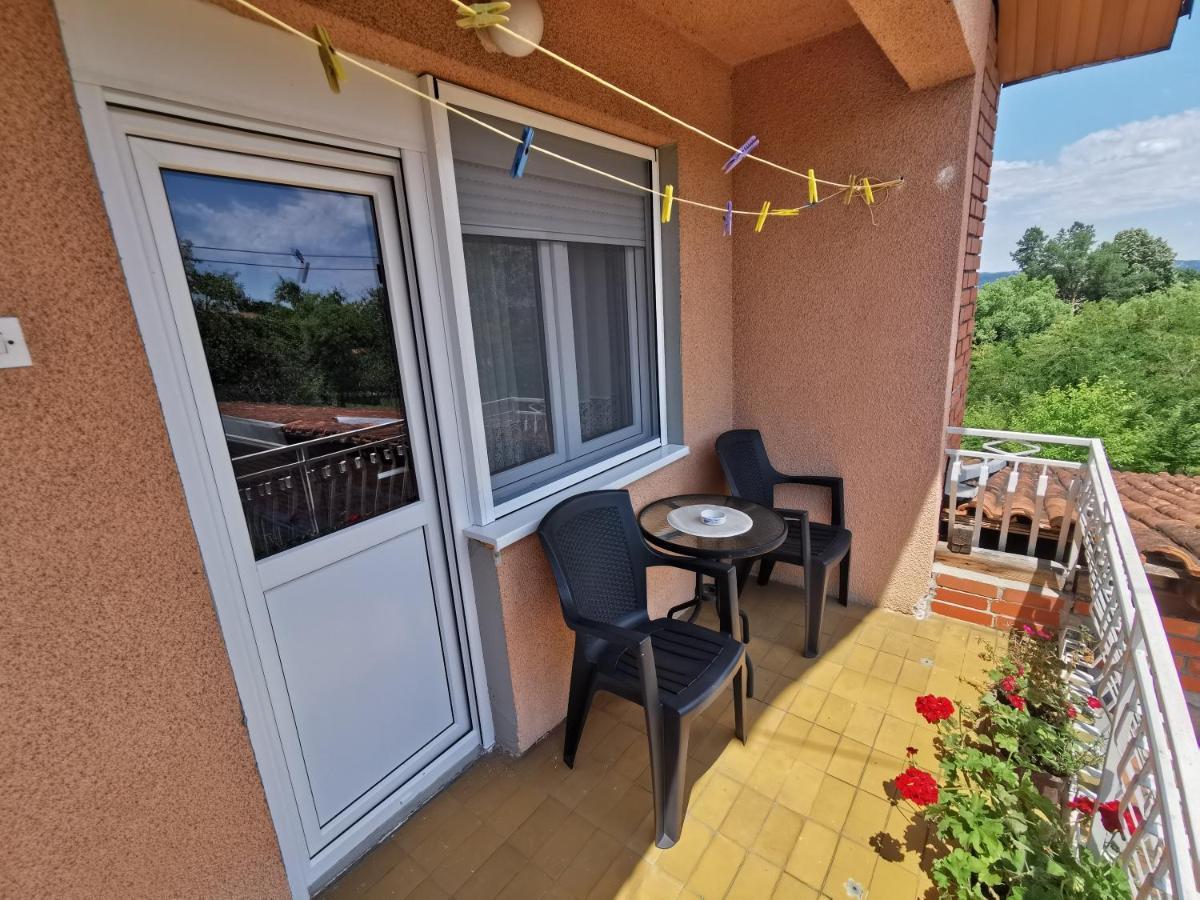 Apartments Domacinstvo Nikolic Valjevo Zewnętrze zdjęcie