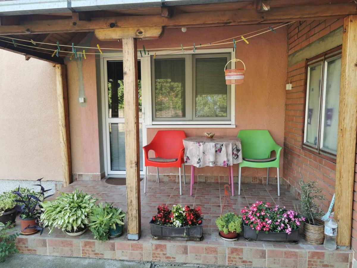 Apartments Domacinstvo Nikolic Valjevo Zewnętrze zdjęcie