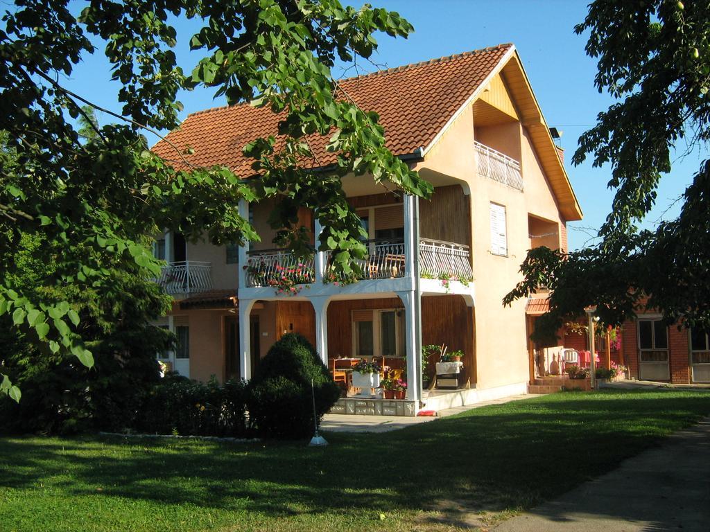 Apartments Domacinstvo Nikolic Valjevo Zewnętrze zdjęcie