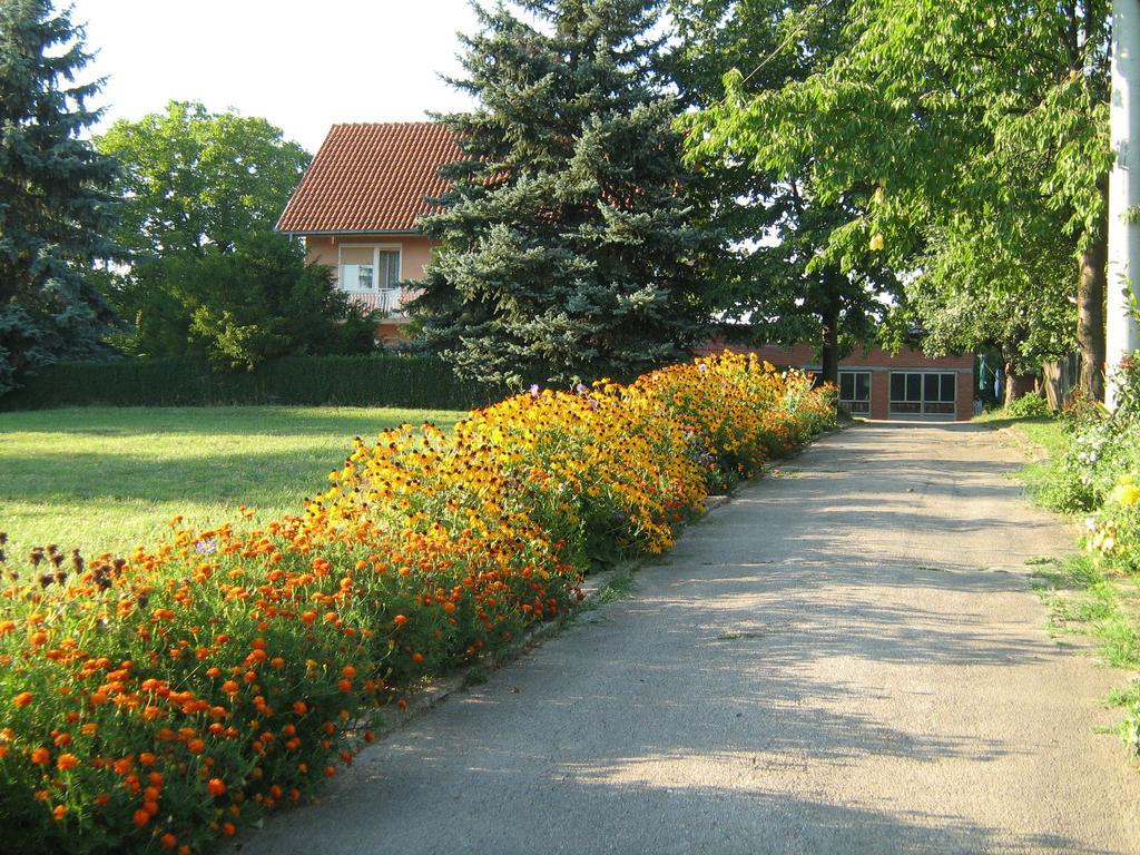 Apartments Domacinstvo Nikolic Valjevo Zewnętrze zdjęcie