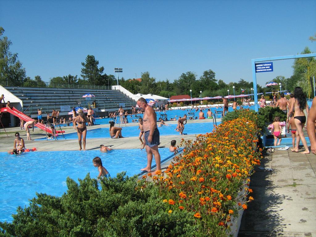 Apartments Domacinstvo Nikolic Valjevo Zewnętrze zdjęcie