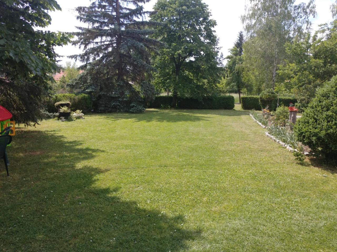 Apartments Domacinstvo Nikolic Valjevo Zewnętrze zdjęcie